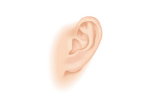 耳介鍼治療